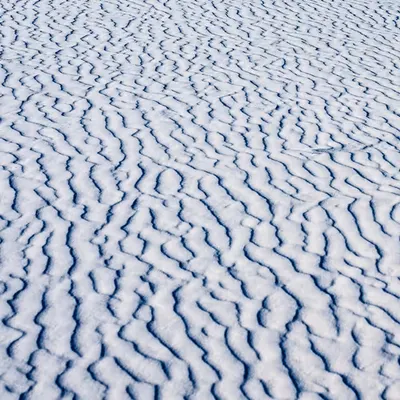 Fingerprints of White Sands