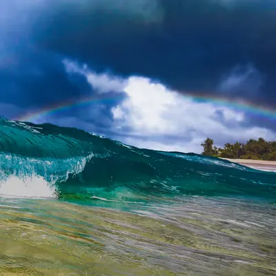 Double Rainbow Light 