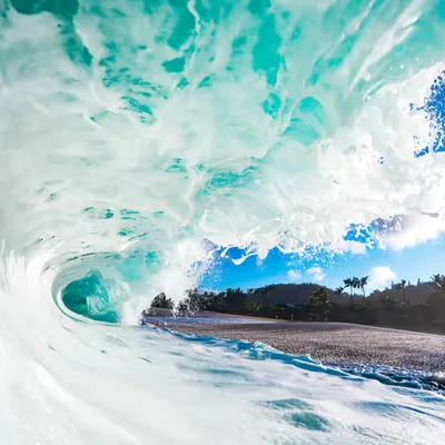 Shorebreak 101