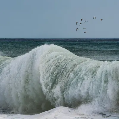 Hurricane Approach 