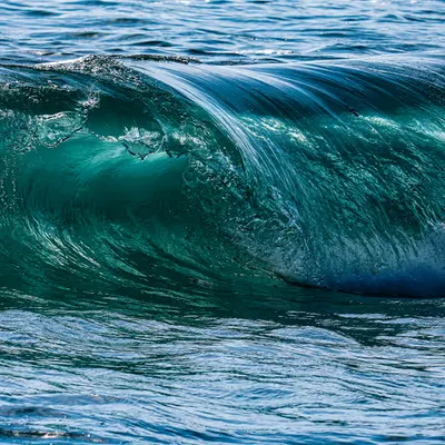 Pī Kai ʻAlohi