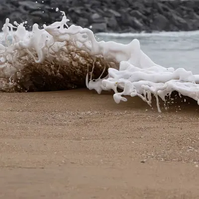 Serenade of Foam