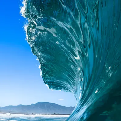 Rip Curl