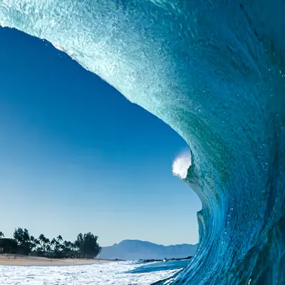 High Tide Curl