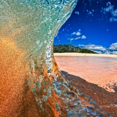 Hues of Orange 