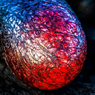Earth Brain Lava Bubble 
