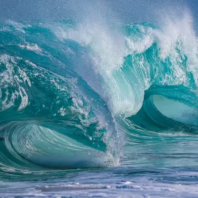 Twin Barrels 