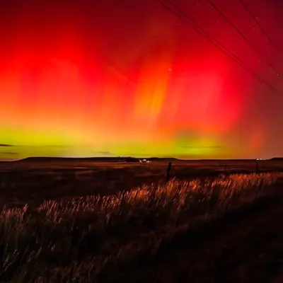 Farm Aurora 