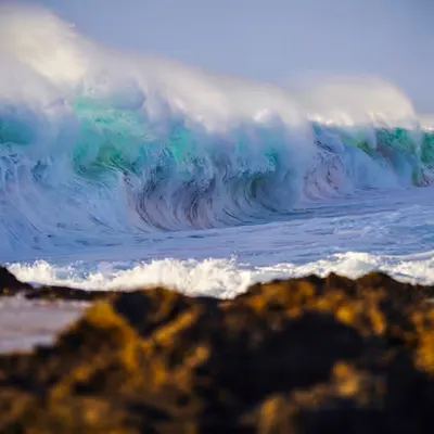 Perspective Clark Little Summer Swell