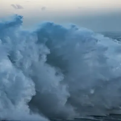 Waimea Bay Closes its Doors 