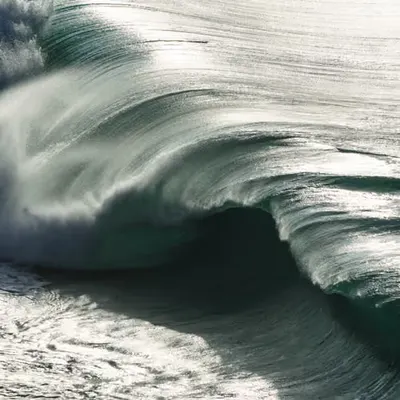 The Weight of Waimea