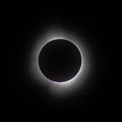 Totality Eclipse 2024