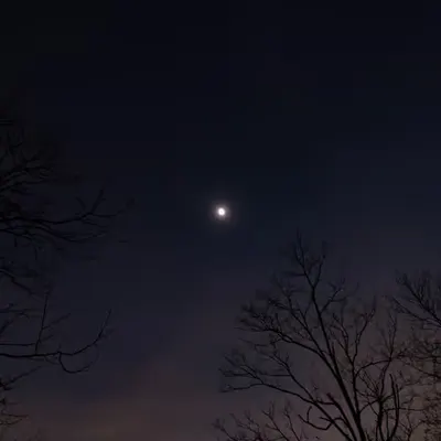Wide Angle Totality 