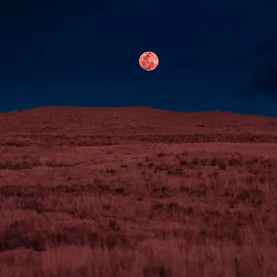 Pink Full Moon Rise