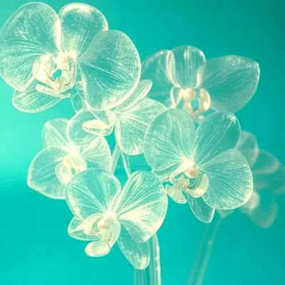 Glass Flowers Composition 2