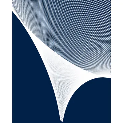 The Shape of Time #110