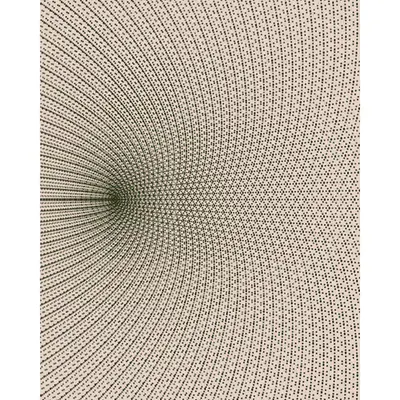 The Shape of Time #114