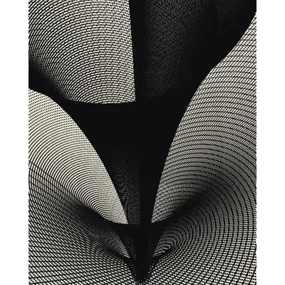The Shape of Time #83