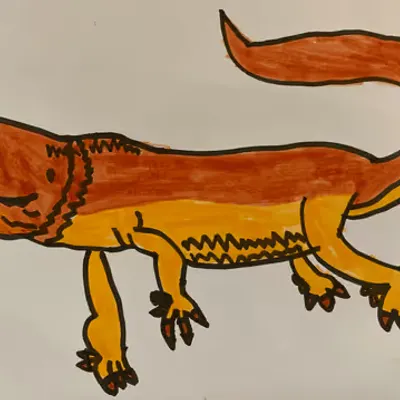Bearded Dragon