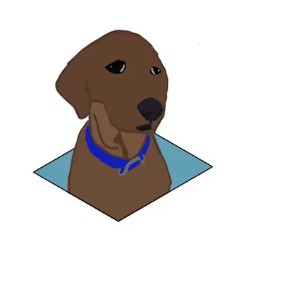 Hailey