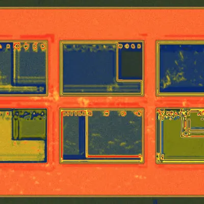 THE THINKING BODY (WEB)