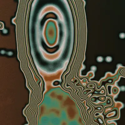 morphic resonance