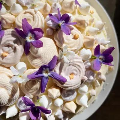 cake baking as an art form