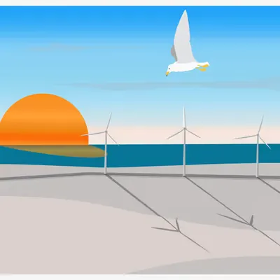 SEAGULL