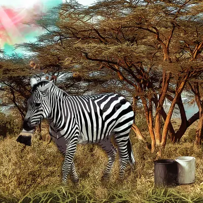 I wear stripes