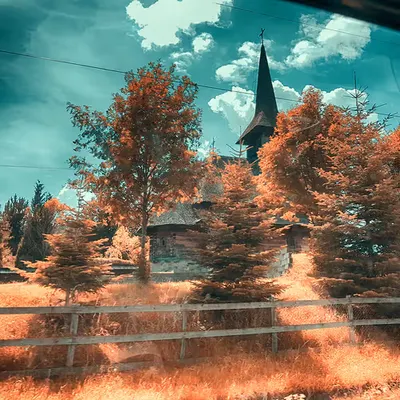 Speed