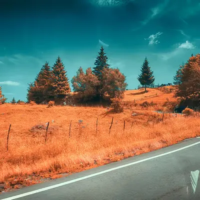 Back on the Road
