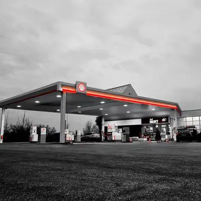 Oasis