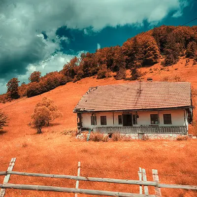Mountain Home