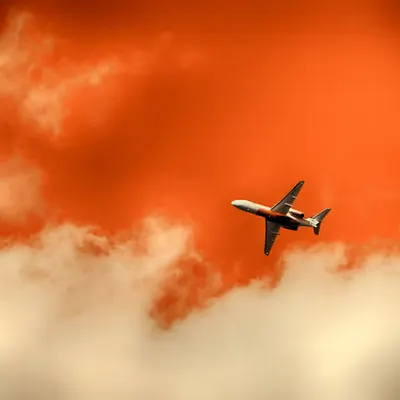 I Took a Picture of an Airplane.