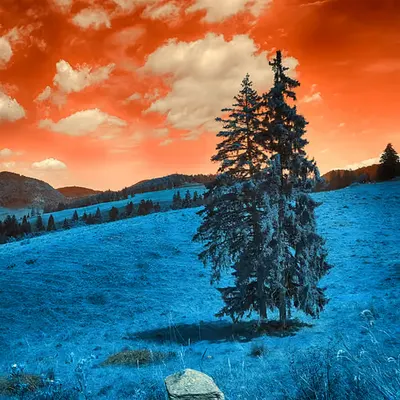 Carpathian Mountains #1