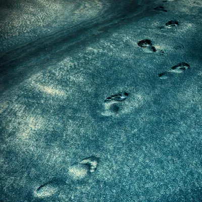 The Road to...