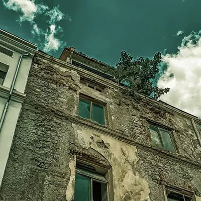 New or Well-Forgotten Old
