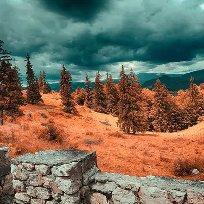 Carpathian Mountains #2
