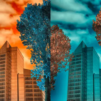 Left or Right