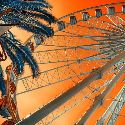  The Cape Wheel