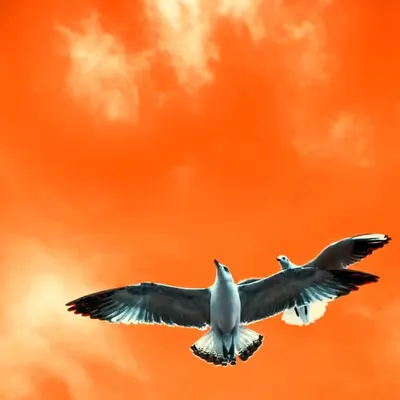 Over the Skies of Thasos Island
