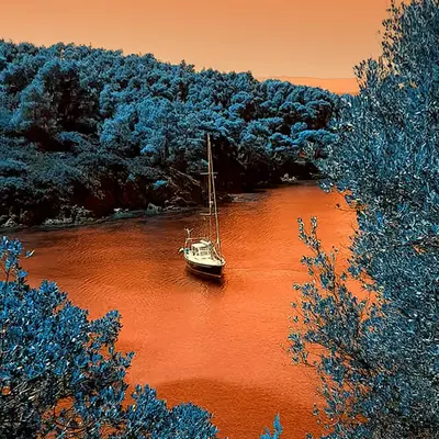 Bay in Sithonia
