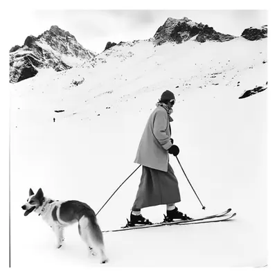 Skiing - XXIX