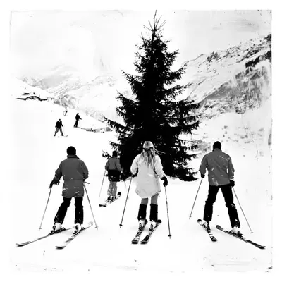 Skiing - XXXXVIII