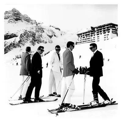 Skiing - L