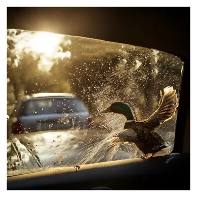 Windowslicker - VI