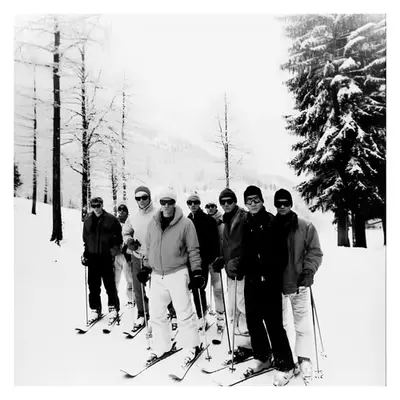 Skiing - XXXIV