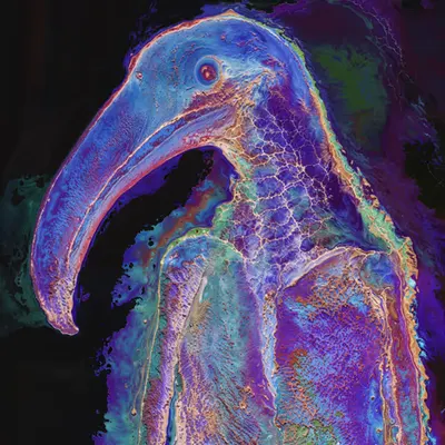 #53