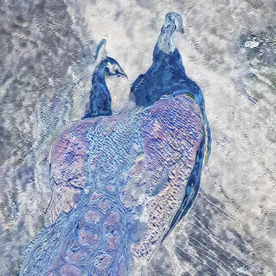 #13