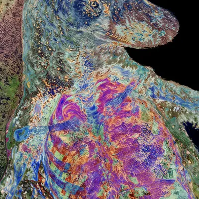 #74